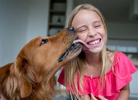 dogs licking teens